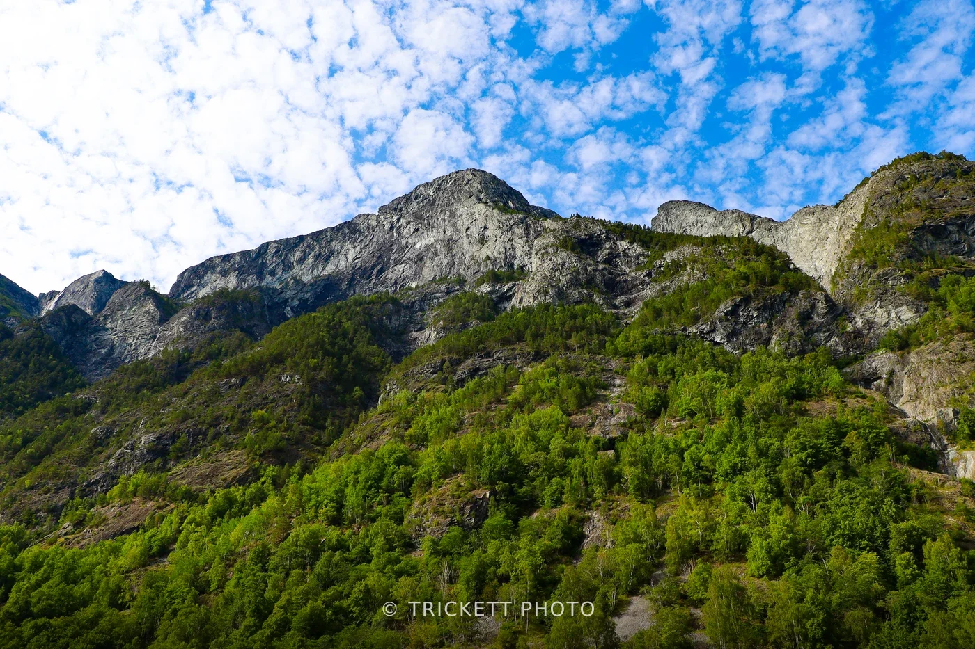 Norway-Bergen-D3-47