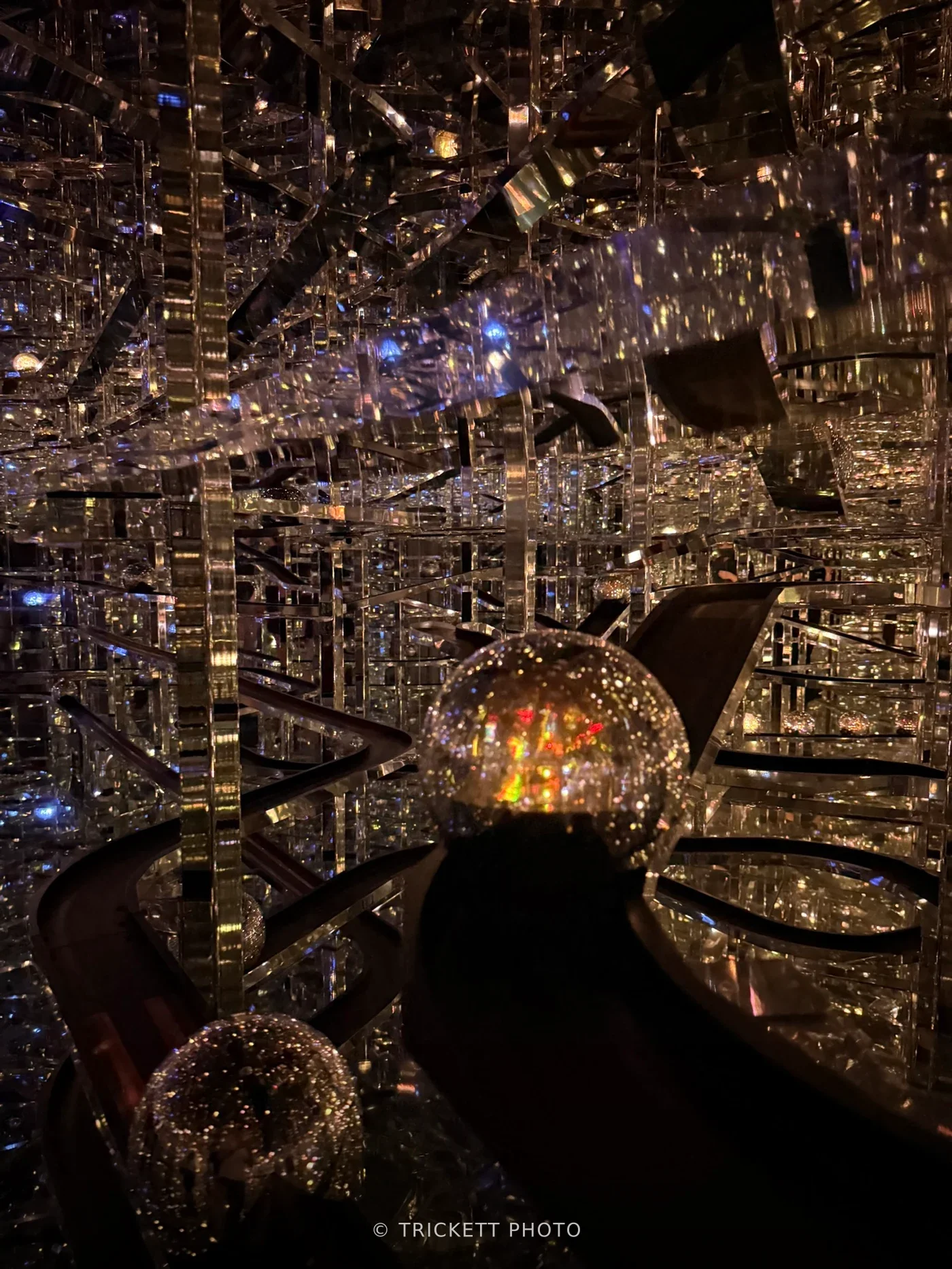 Disney Tokyo and TeamLab Borderless (Phone)