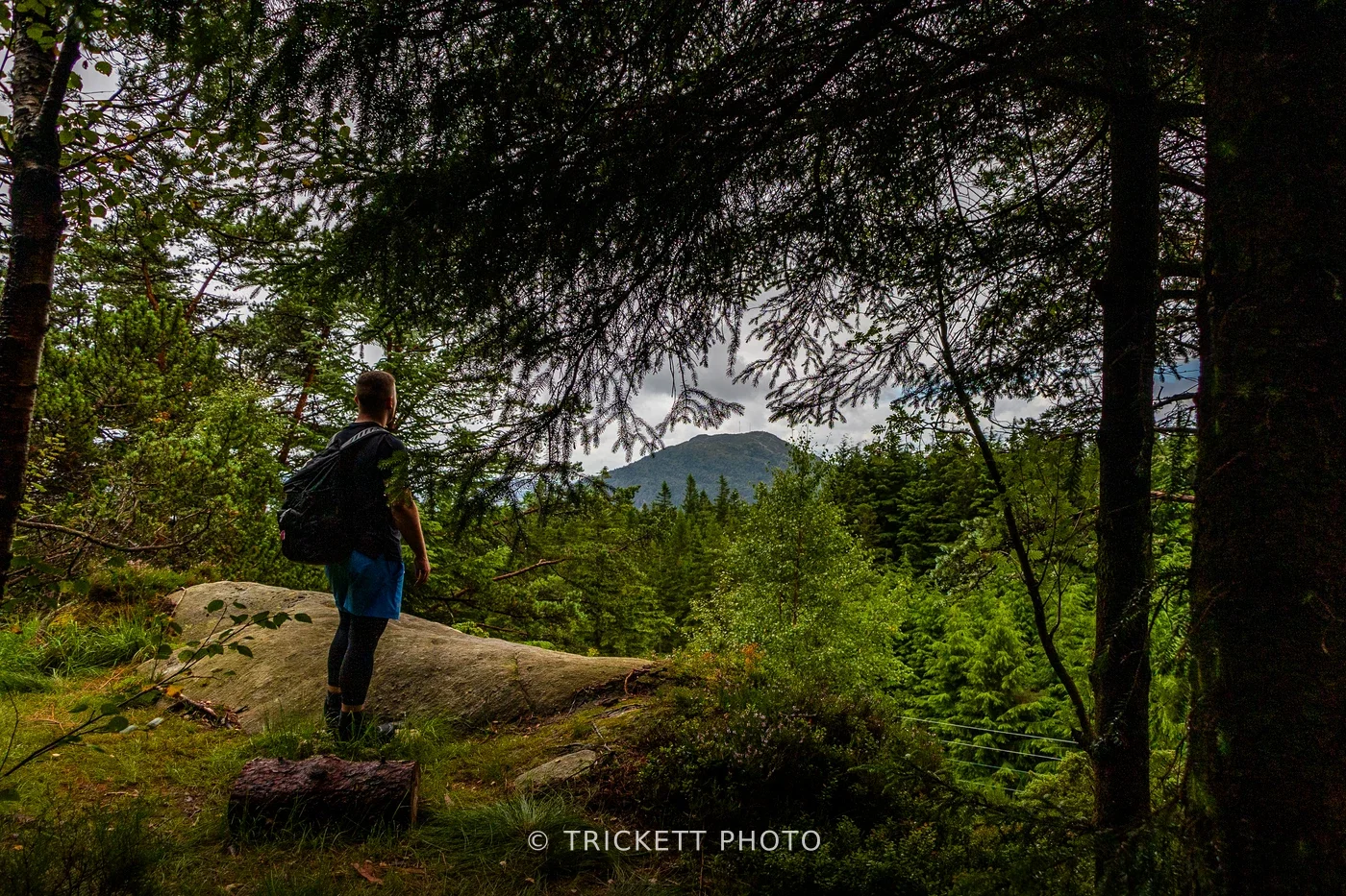 Norway-Bergen-D2-25