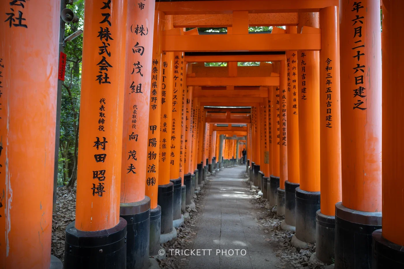 Fushimi Inari Taisha & Kyoto with Friends