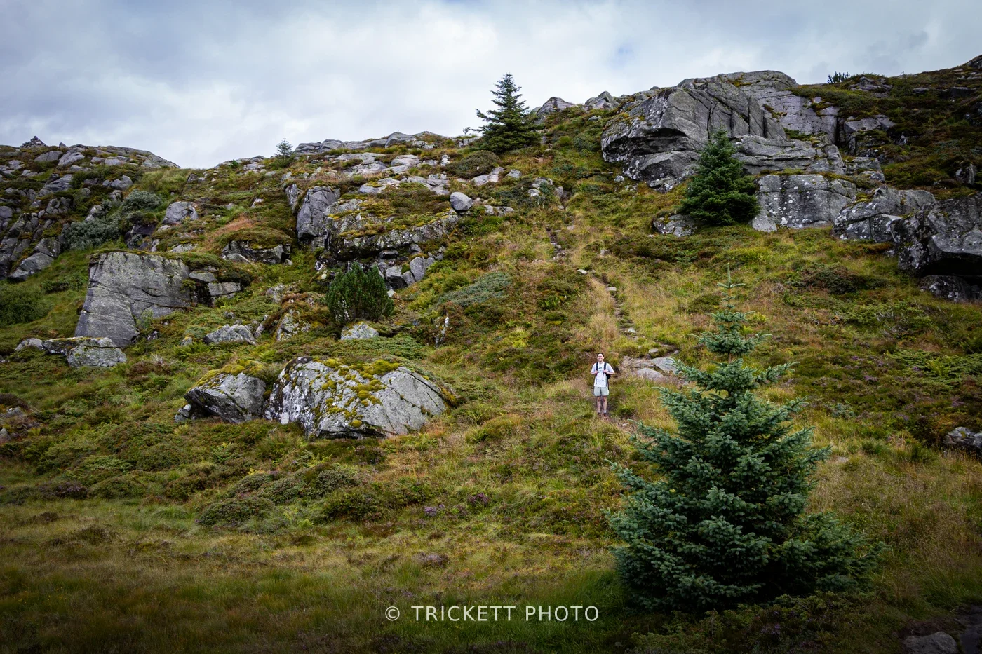 Norway-Bergen-D2-60