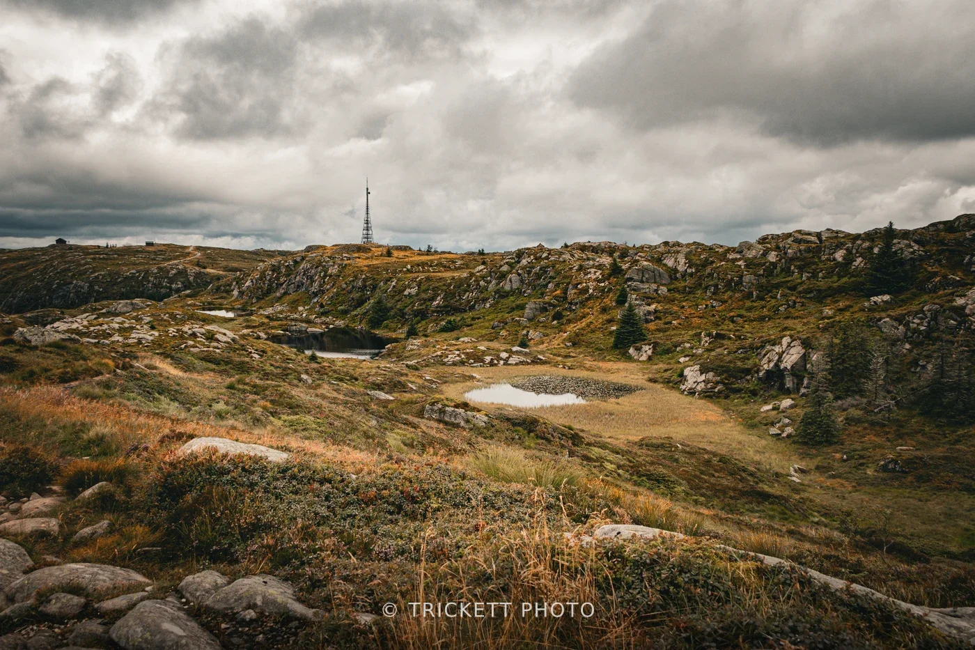 Norway-Bergen-D2-58