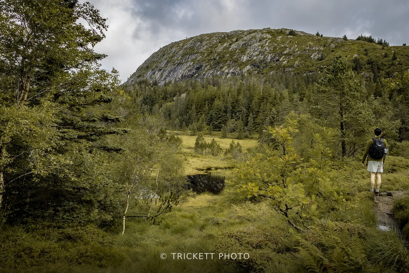 Norway-Bergen-D2-48