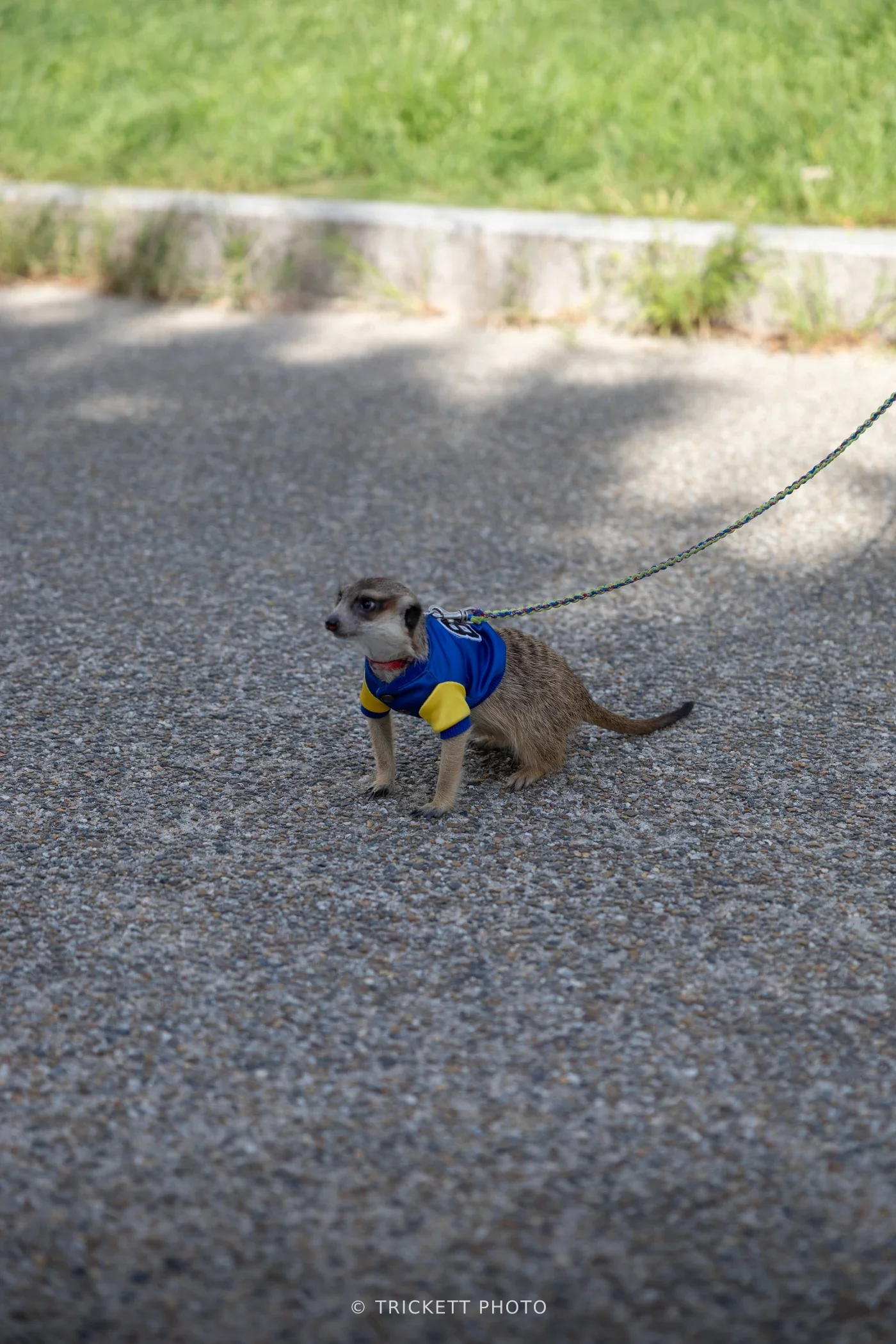 Japan2025-10