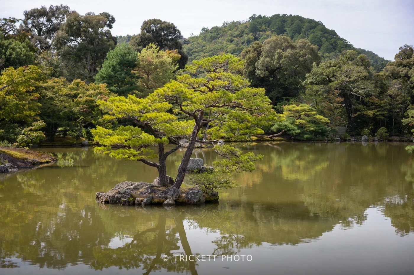 Japan2025-220