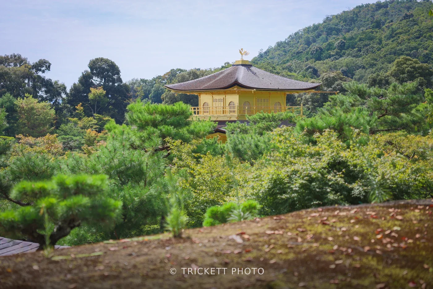Japan2025-227