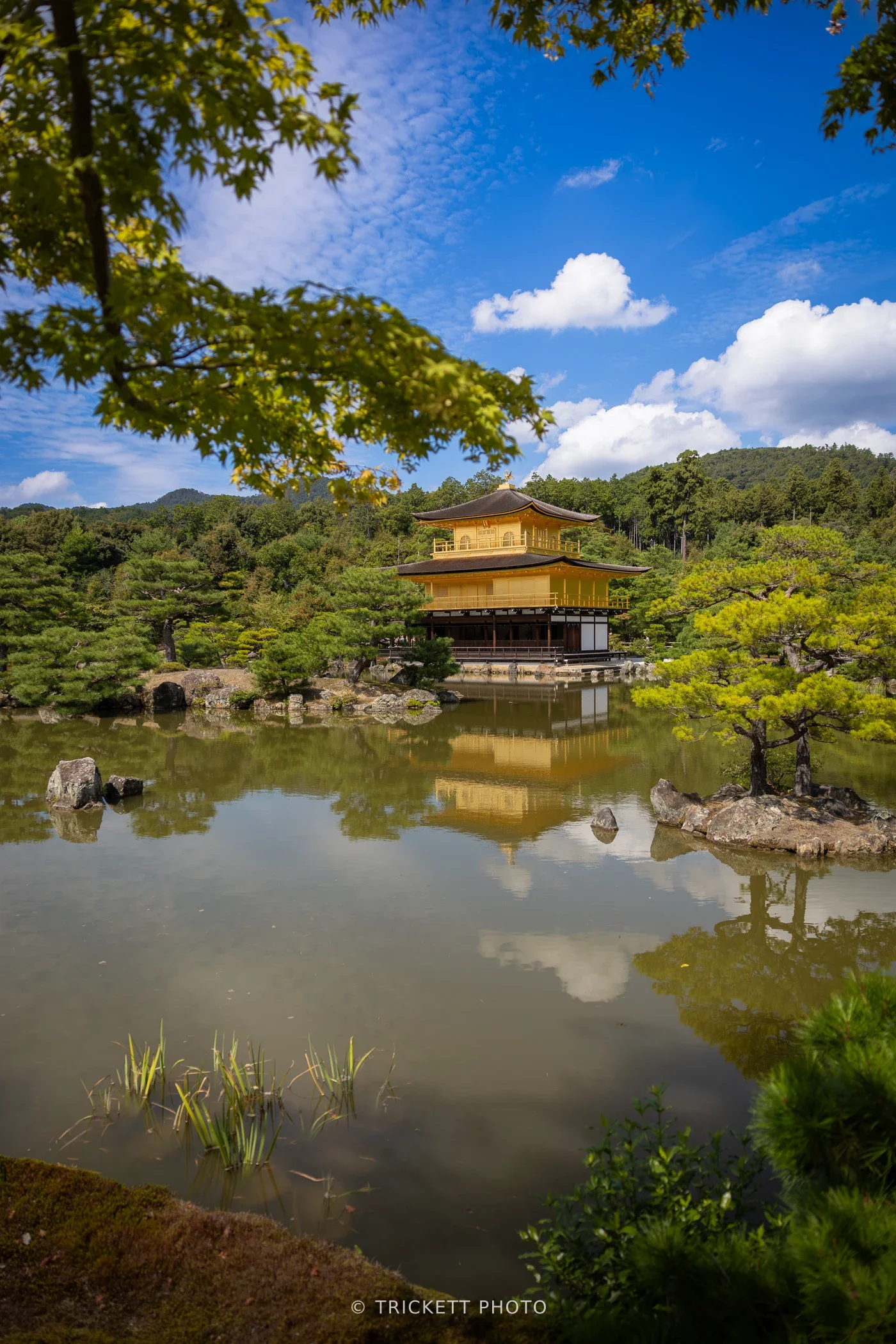 Japan2025-207