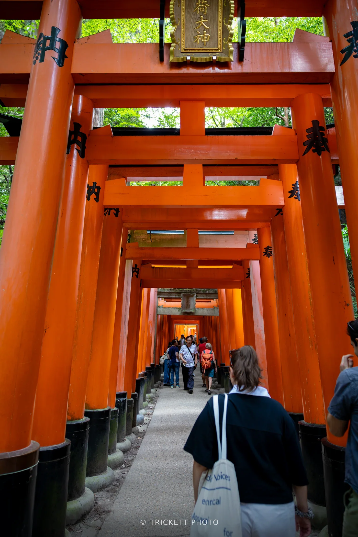 Japan2025-189