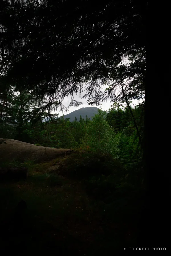 Mt. Fløyen & Mt. Blåmanen Loop Hike